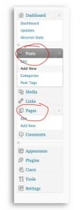 WordPress pages and posts