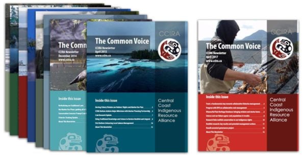 The Common Voice, CCIRA newsletters laid out in a bunch.
