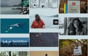 A list of posts from the Pink Sheep dot Media community hub