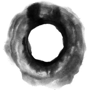 An ink painting with a cloud of black ink in a circle with lighter and lighter ink near the edges.