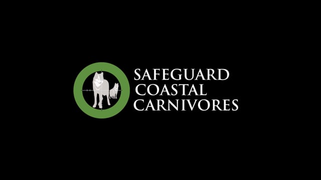 vimeo placeholder image